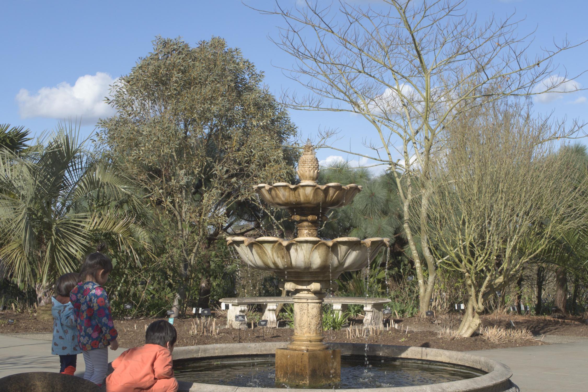 fountain