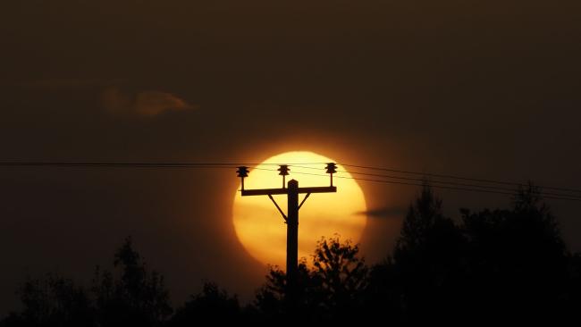 Telegraph Pole
