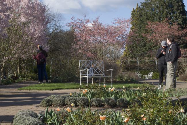 garden