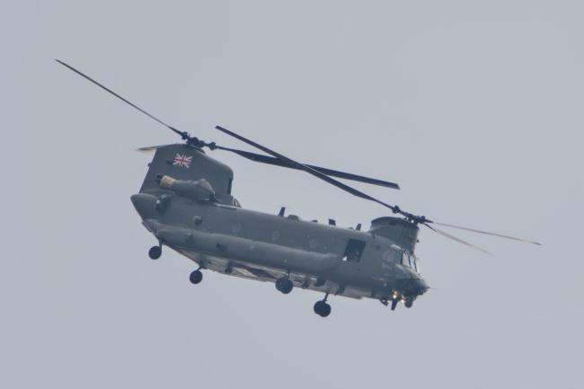Chinook