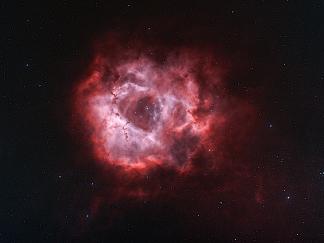 Rosette