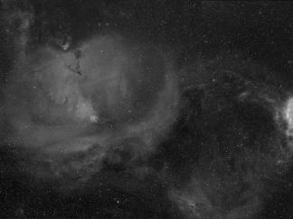 Cone Mosaic