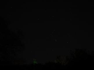 Orion